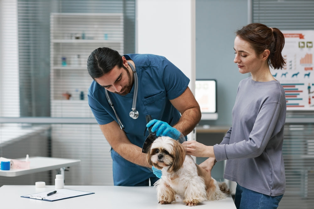 Veterinary Response to Heatstroke and Severe Heat Illness