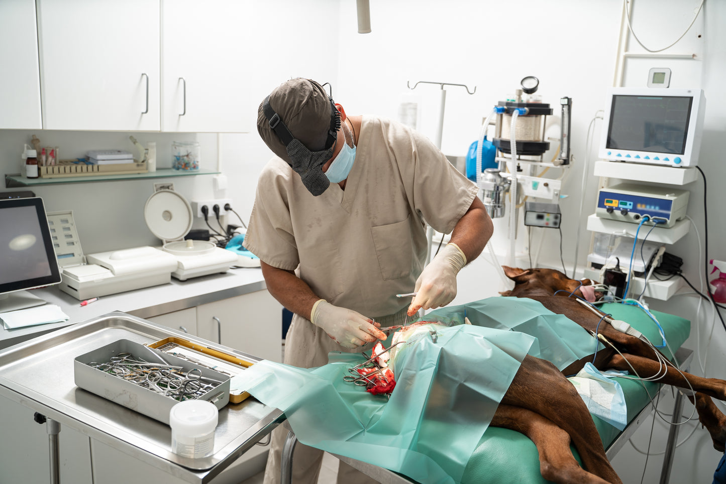 Veterinary Anesthesia Monitoring Fundamentals