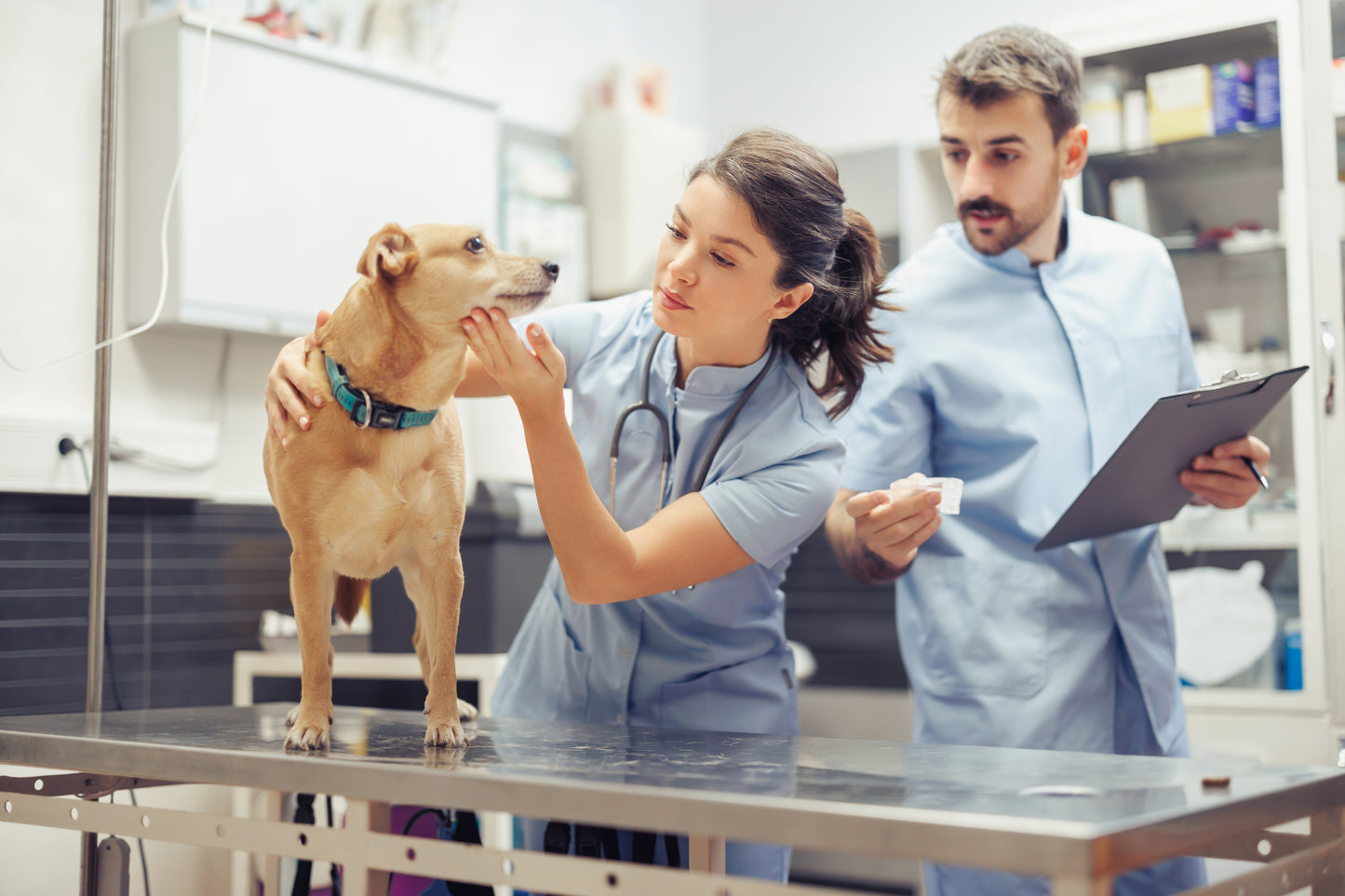 Managing Diabetes and DKA in Veterinary Patients