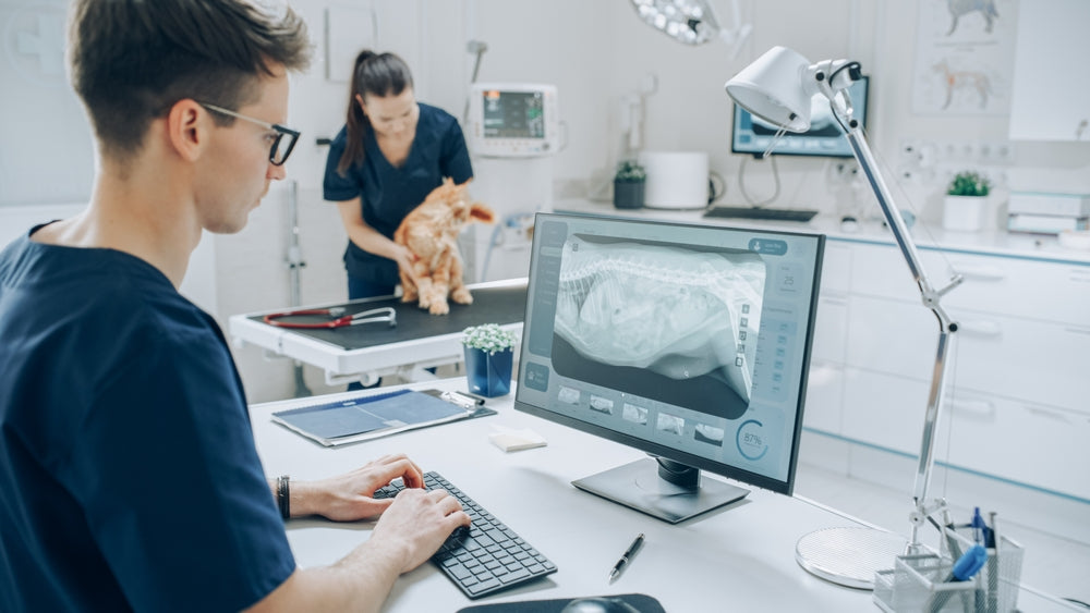 Radiation Safety for Veterinary Radiography & Imaging