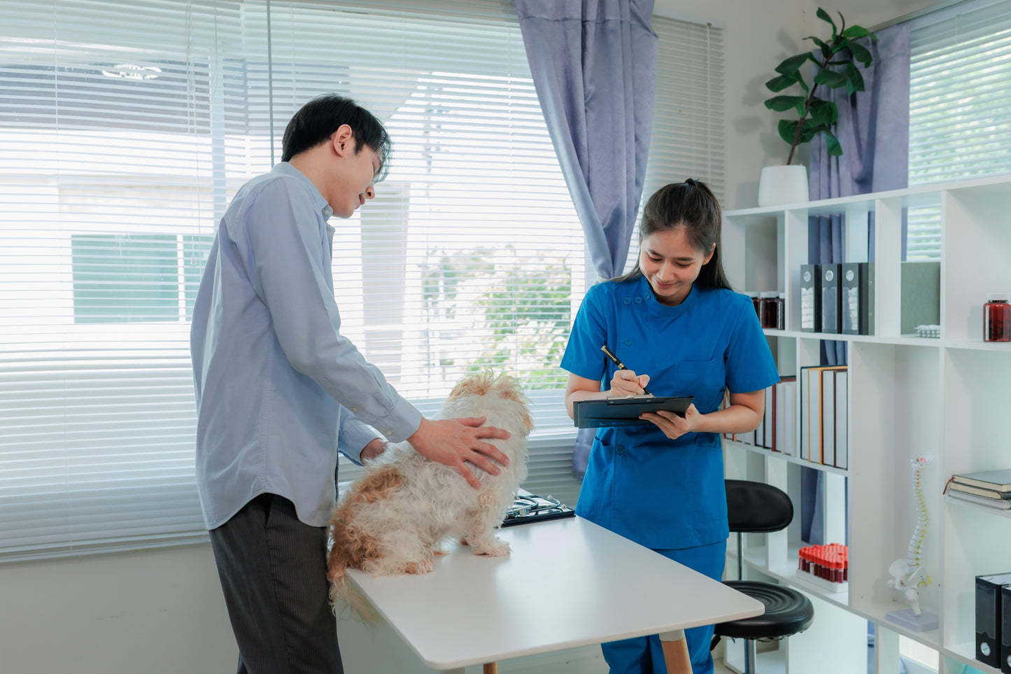 Safe Discharge of Veterinary Patients