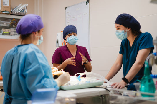Infection Control Training for Veterinary Providers